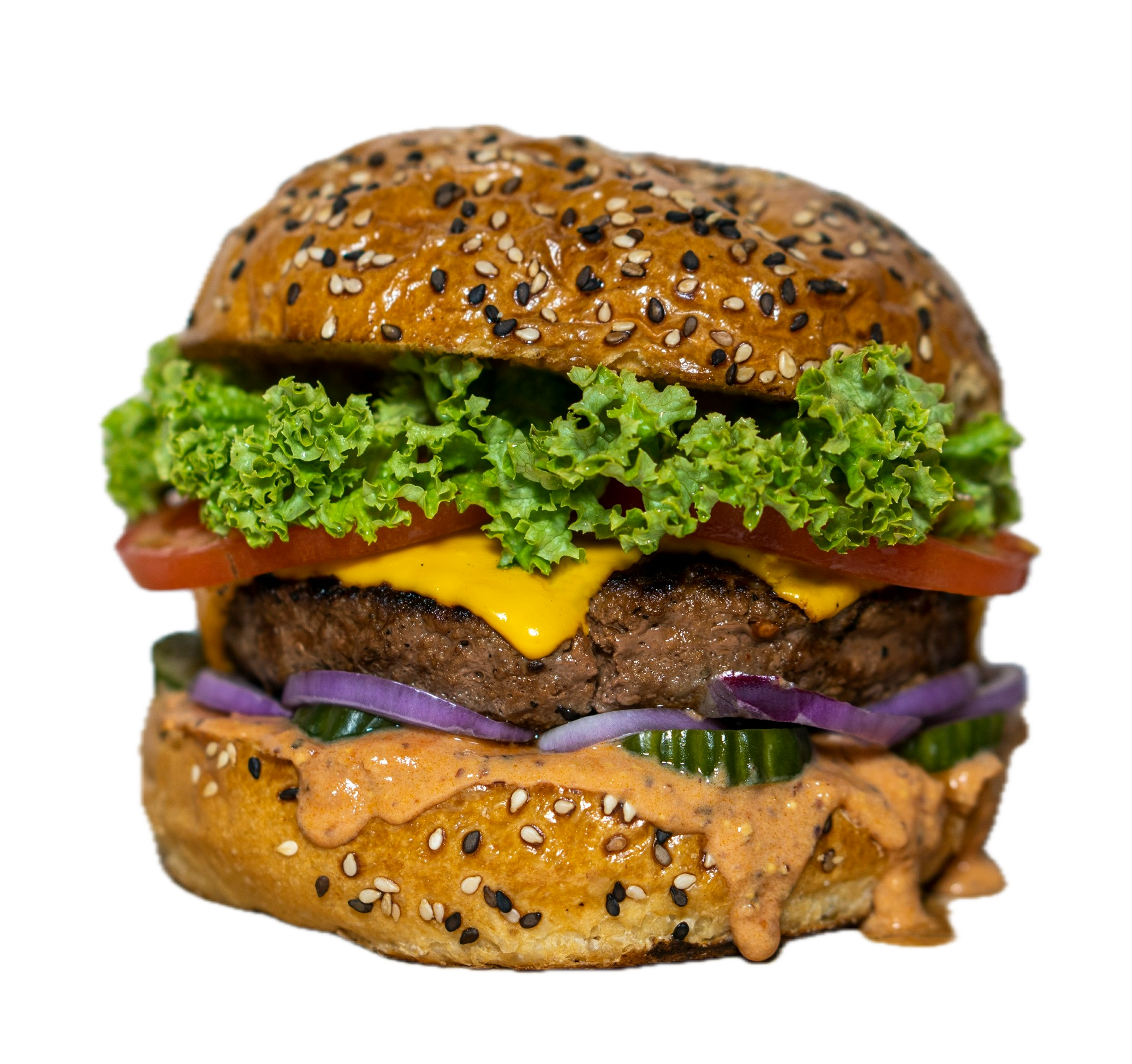 Veggie Delight Burger