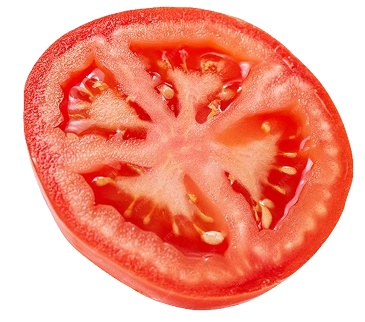Fresh organic tomato slice